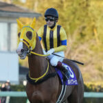 【競馬予想】第75回チャレンジカップ(GⅢ) /2024