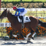 【2歳新馬】ナルカミ2秒差大差勝ちヤバすぎwww