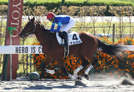 【2歳新馬】ナルカミ2秒差大差勝ちヤバすぎｗｗｗ