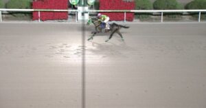 【競馬】ＪＢＣクラシックは川田騎乗のウィルソンテソーロがＶ