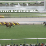 【萩S】テリオスララ& 鮫島克駿騎手がキタ━━━━(゚∀゚)━━━━!!