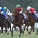 スタニングローズ 有馬記念へ