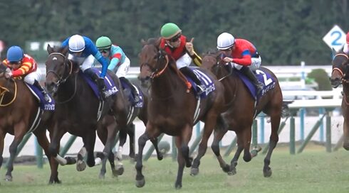 スタニングローズ　有馬記念へ