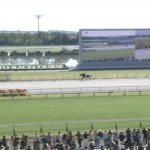 ナルカミの新馬戦やばすぎだろ