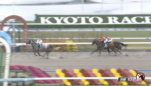 【近江特別】メイプルタピット＆渡辺竜也騎手がｷﾀ━━━━(ﾟ∀ﾟ)━━━━!!