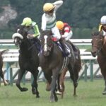【マイルCS】団野騎手のガッツポーズwww