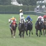 【マイルCS】ソウルラッシュ強すぎワロタwww