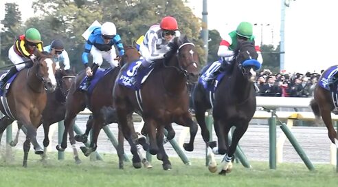 朝日杯、日本ダービー、有馬記念、天皇賞（秋）、ジャパンカップ←Ｎｅｗ！