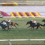 【京阪杯】ビッグシーザー&北村友一騎手がキタ━━━━(゚∀゚)━━━━!!