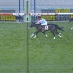 【ステイヤーズS】マーカンドさん重賞初勝利ならず
