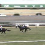 【競馬/つばき賞】ファンデーナ強すぎワロタwwwwwwwwwwww