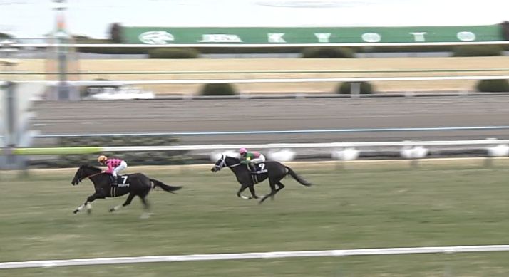 【競馬/つばき賞】ファンデーナ強すぎワロタｗｗｗｗｗｗｗｗｗｗｗｗ