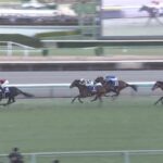 【ホープフルステークス2024】結果・動画/クロワデュノールが人気に応え完勝