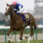 ダイワスカーレットはなぜ繁殖で失敗したのか？