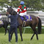 同じダービー2着の皐月賞馬でもエポカドーロの評価はものすごく低い理由ってなに?
