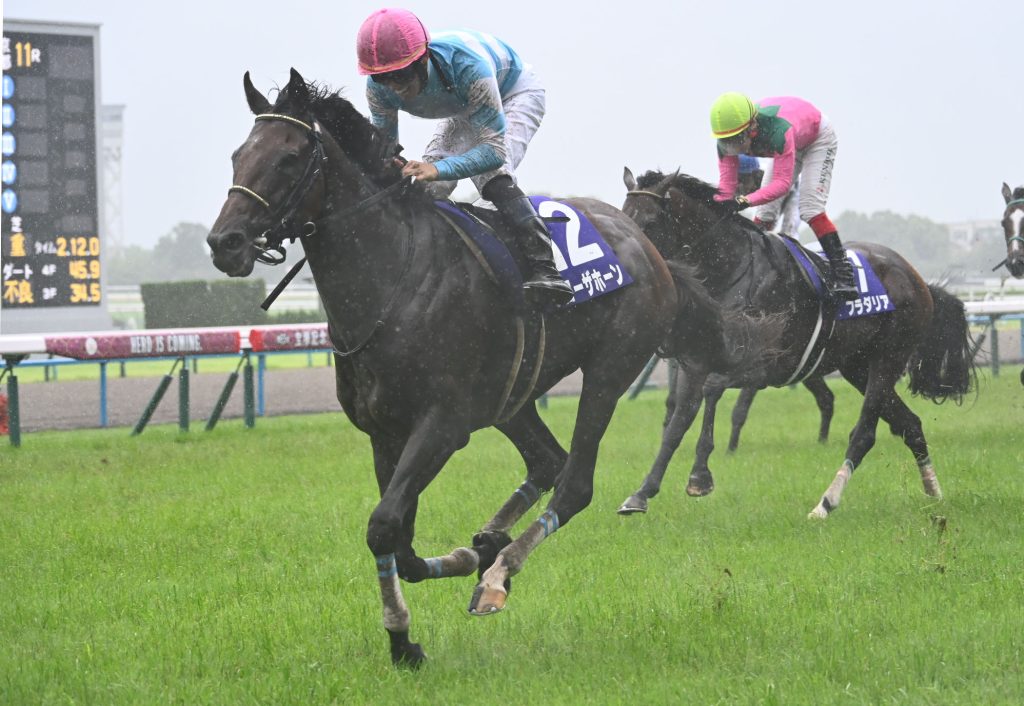 有馬でブローザホーン馬券内来る可能性あるか？