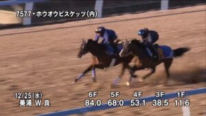 【中山金杯2025】追い切り/動きを見極め勝利に近づけ