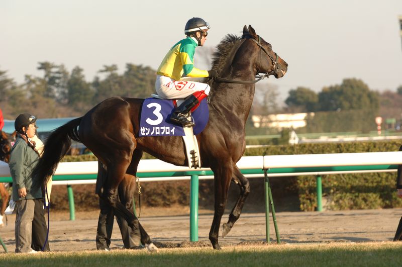 無敗のクラシック3冠馬と秋古馬3冠馬どっちが上？