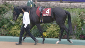 【ホープフルS】今年の負け取り戻すためにボーナス45万クロワデュノールの単勝買う