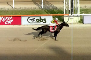 【チャンピオンズC】クラウンプライド舐められすぎじゃないか？