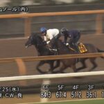 【ホープフルステークス2024】追い切り/抜群の動きを見せたのは