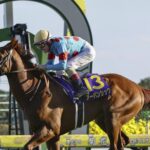 有馬記念 アーバンシック ルメール