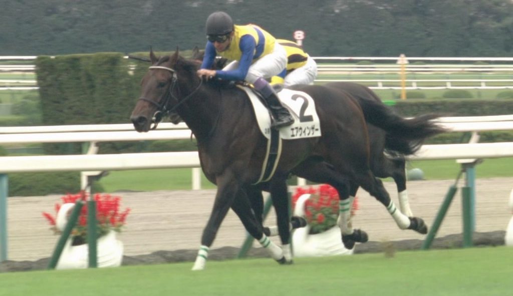 【競馬】【朗報】武豊エアウィンザー降ろされる！！クラシック見学へ