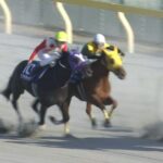 【競馬/フェブラリーS】サウンドトゥルー善臣wwwwwwwwwww