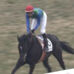 【競馬】武幸四郎、重賞ラスト騎乗はアーリントンカップ