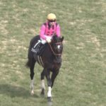 【競馬/つばき賞】川田「ファンディーナは素晴らしい。相当走る」