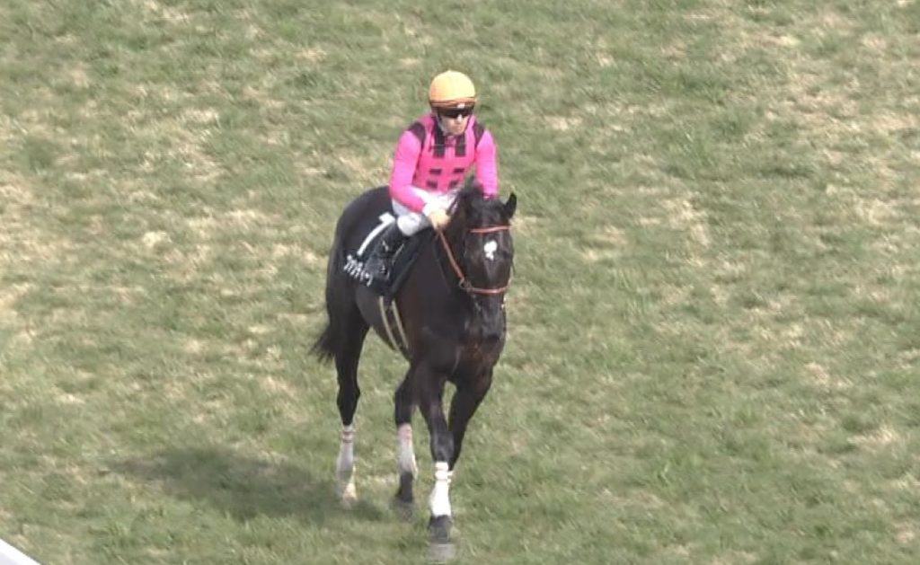 【競馬/つばき賞】川田「ファンディーナは素晴らしい。相当走る」