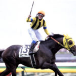種牡馬成功失敗の境目がわからない