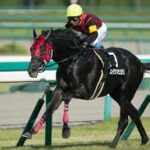 イクイノックスのドバイシーマクラシックよりエイシンヒカリのイスパーン賞の方が凄いよな?