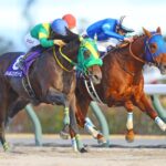 レモンポップが引退した後のダートのスーパーホース