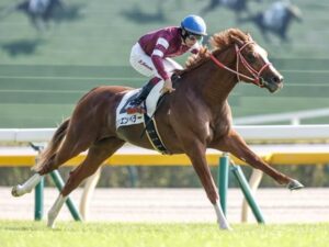 シンエンペラーって有馬記念勝てたよな?