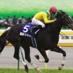 「戦績が綺麗な馬」と「戦績が汚い馬」