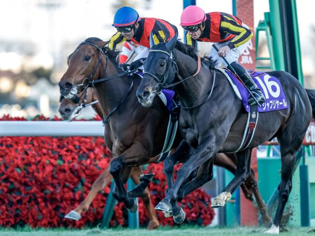 64年ぶりの3歳牝馬の有馬制覇でもなんとも思わない