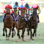 【有馬記念】逃走ダノンデサイル横山典弘w w w w w