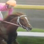 【競馬】【訃報】ミホノブルボン死去