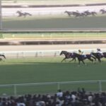 【中山大障害2024】結果・動画/ニシノデイジーが復活の圧勝V