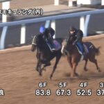 【中日新聞杯2024】追い切り/動きからレースを紐解く