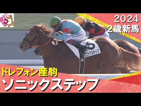 断然人気ソニックステップが競り合いを制しデビュー勝ち！西村淳也騎手「調教の動きから自信がありました」　2024年 12月1日(日)２歳新馬　京都ダート1800m　実況：服部優陽【カンテレ公式】