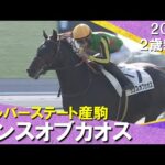 シルバーステート産駒のランスオブカオスが突き抜けデビュー勝ち! 吉村誠之助騎手「強かったです」 2024年 12月1日(日)2歳新馬 京都芝1400m 実況:服部優陽【カンテレ公式】