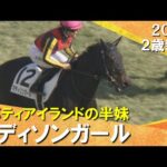 リバティアイランドの半妹マディソンガールが初陣飾る!川田騎手「良い内容で初戦を終えることができました」 2024年 11月30日(土)2歳新馬 京都芝1800m 実況:岡安譲【カンテレ公式】