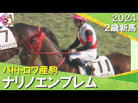 ナリノエンブレムが３馬身差の快勝！ルメール騎手「スピードを出してくれました」　2024年 11月30日(土)２歳新馬　京都ダート1200m　実況：服部優陽【カンテレ公式】