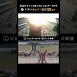 【ジョッキーカメラ×レース映像】2024年 チャンピオンズカップ レモンポップ 坂井瑠星騎手 #shorts |JRA公式