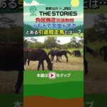 角居勝彦元調教師のもとで余生を送るとある引退競走馬とは…? #角居勝彦 #引退競走馬 #shorts | JRA公式