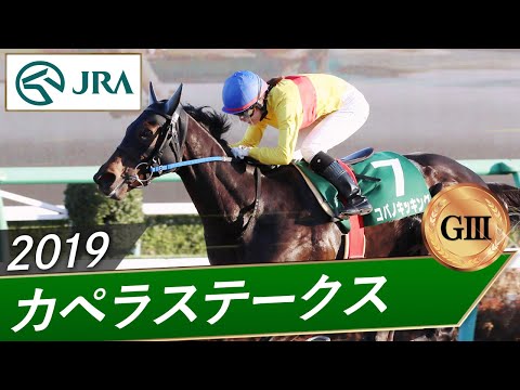 2019年 カペラステークス（GⅢ） | コパノキッキング | JRA公式