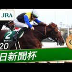 2020年 中日新聞杯(GⅢ) | ボッケリーニ | JRA公式