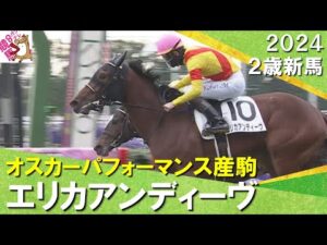 オスカーパフォーマンス産駒エリカアンディーヴが初陣飾る！松山騎手「着差以上に強かった」　2024年 12月8日(日)２歳新馬　京都芝1800m　実況：石田一洋【カンテレ公式】